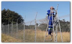electric fence training