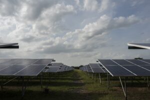 Solar farm security fencing and electric fencing