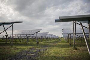 Soluciones de seguridad y vallas para granjas solares.